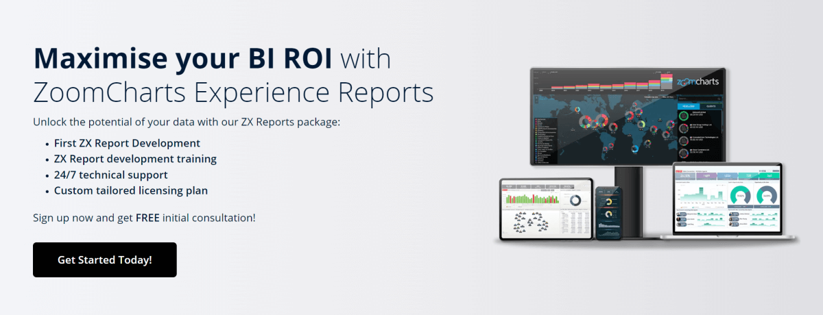 Maximise your BI ROI with ZoomCharts Experience Reports