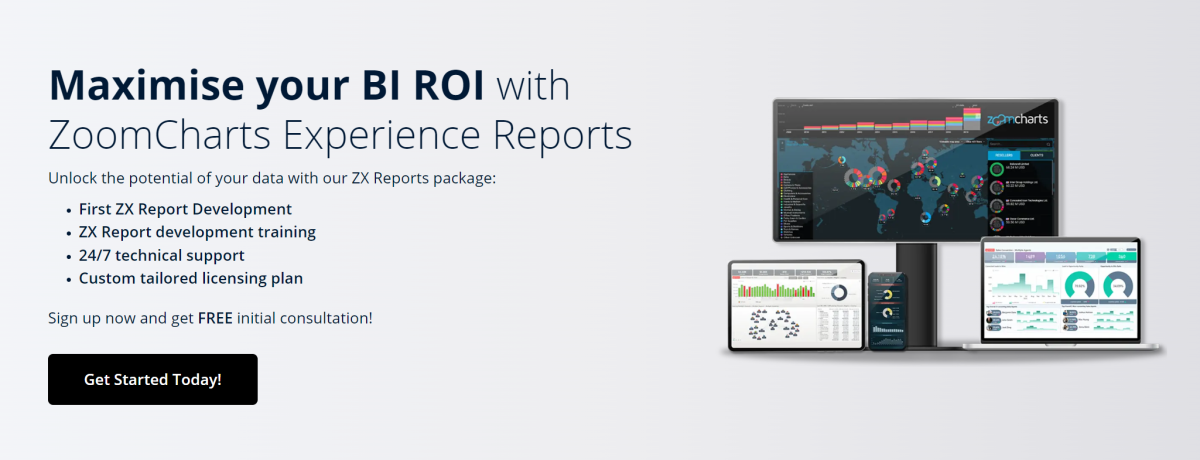 ZoomCharts Experience Reports for Business Intelligence